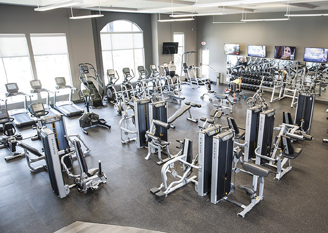 Commercial Amenities Aria Fitness
